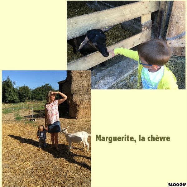 La chévrerie 